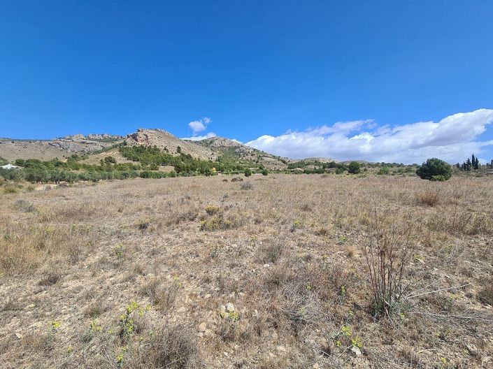 Image No.4-Land for sale