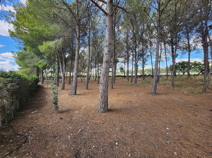 Image No.14-5 Bed Villa for sale