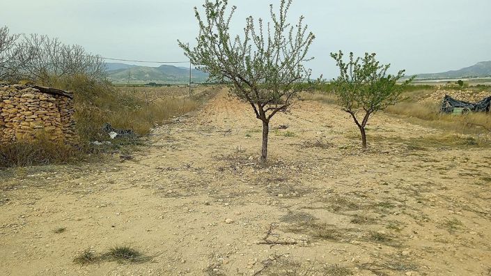 Image No.2-Land for sale