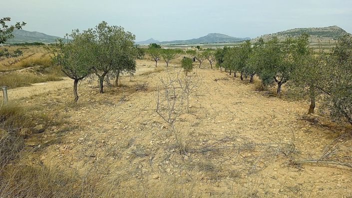 Image No.3-Land for sale