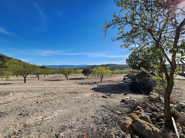Image No.33-Maison de campagne de 5 chambres à vendre à Caudete