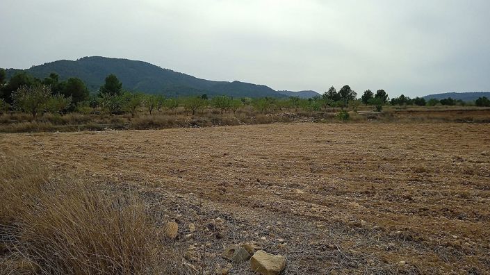 Image No.2-Land for sale