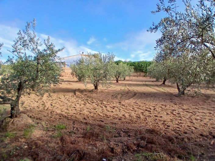 Image No.21-3 Bed Country House for sale