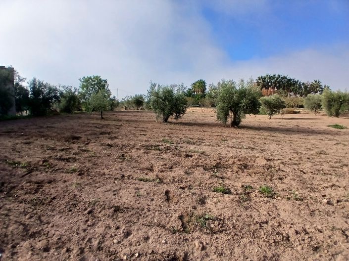 Image No.24-3 Bed Country House for sale