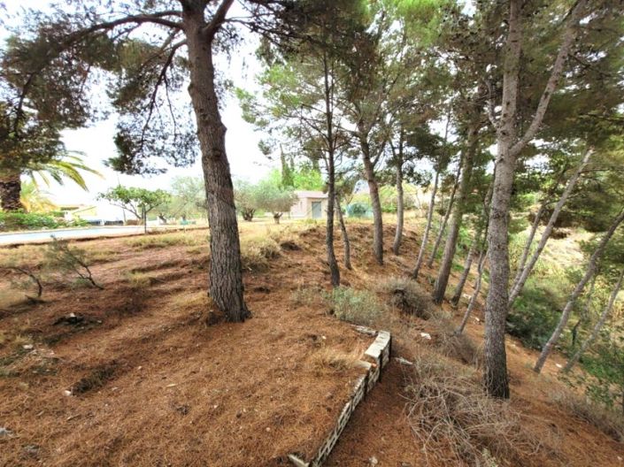 Image No.36-4 Bed Country House for sale