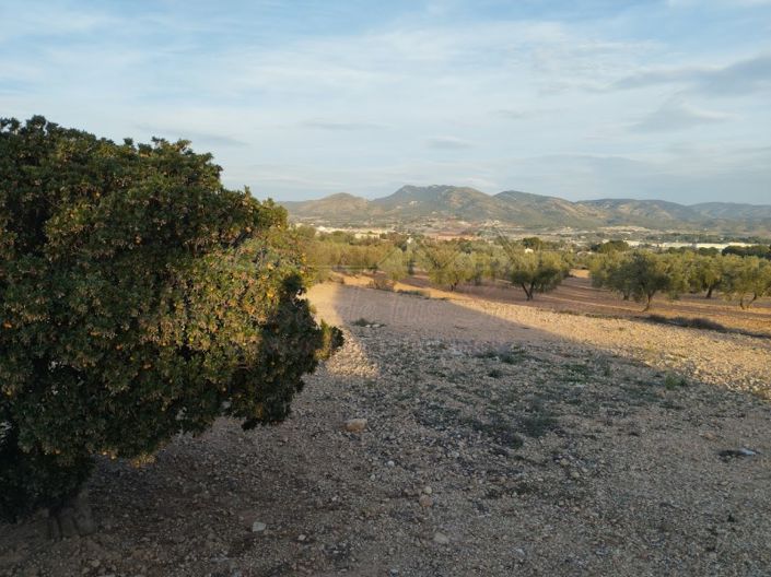 Image No.49-2 Bed Villa for sale