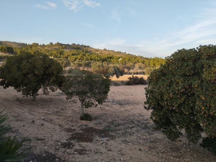 Image No.50-2 Bed Villa for sale