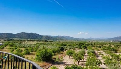 wimg-20220829-wa0044-copy-800x460