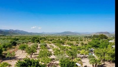 wimg-20220829-wa0040-copy-800x460