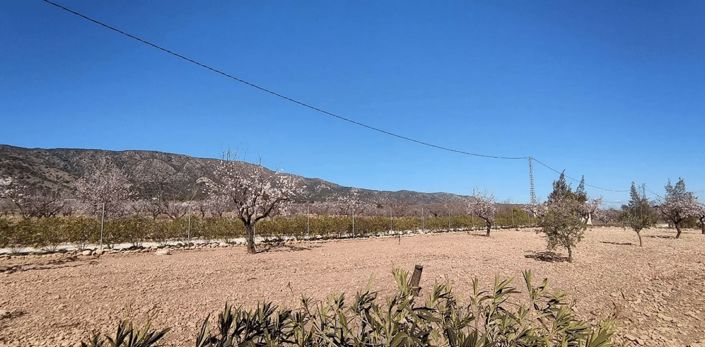 Image No.45-Villa de 4 chambres à vendre à Pinoso