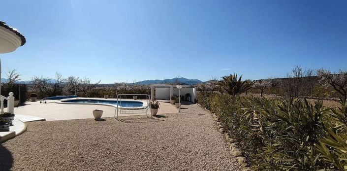 Image No.48-Villa de 4 chambres à vendre à Pinoso