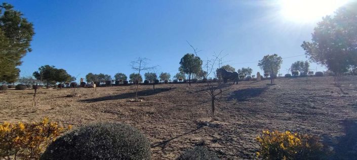 Image No.24-3 Bed Villa for sale