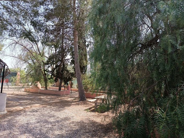 Image No.12-Maison de campagne de 3 chambres à vendre à Jumilla