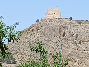 wwhatsapp-image-2025-07-15-at-163640-3-