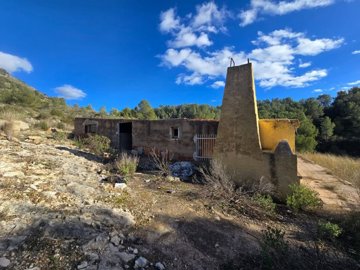 wwhatsapp-image-2026-01-23-at-161851-1-