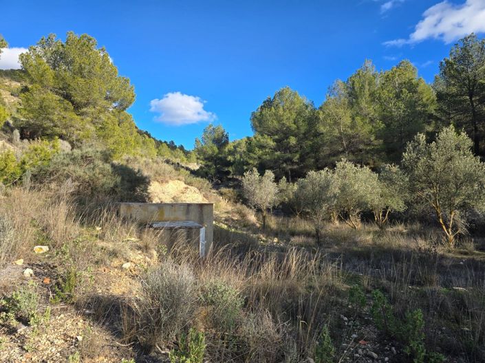 Image No.40-3 Bed Villa for sale