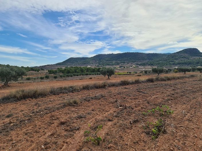 Image No.4-Land for sale