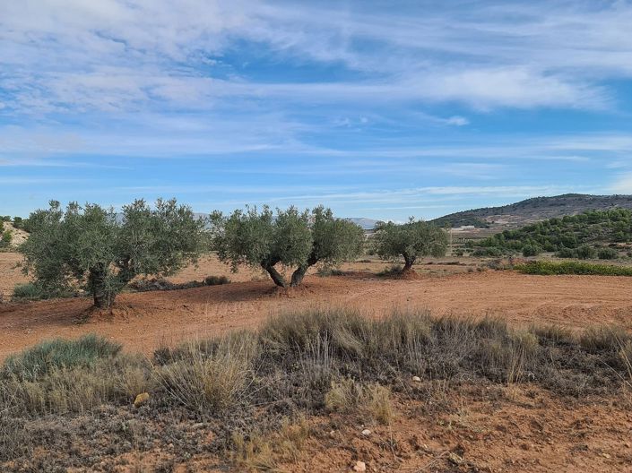 Image No.8-Land for sale