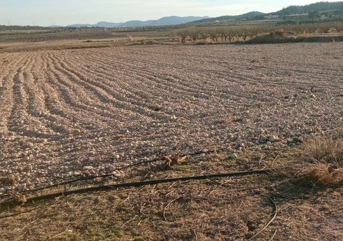 Image No.2-Land for sale