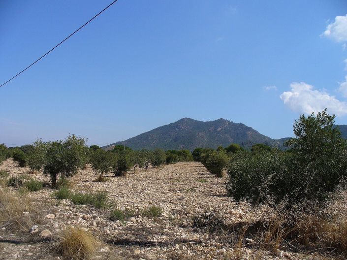 Image No.6-Land for sale