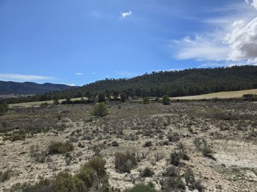 wimg-20250402-wa0114