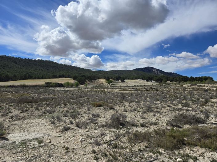 Image No.4-Land for sale