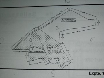 wwhatsapp-image-2025-04-02-at-131219009d7651