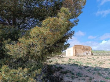 wwhatsapp-image-2025-04-02-at-111709