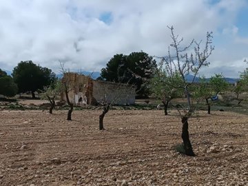 wwhatsapp-image-2025-04-02-at-111703-1-