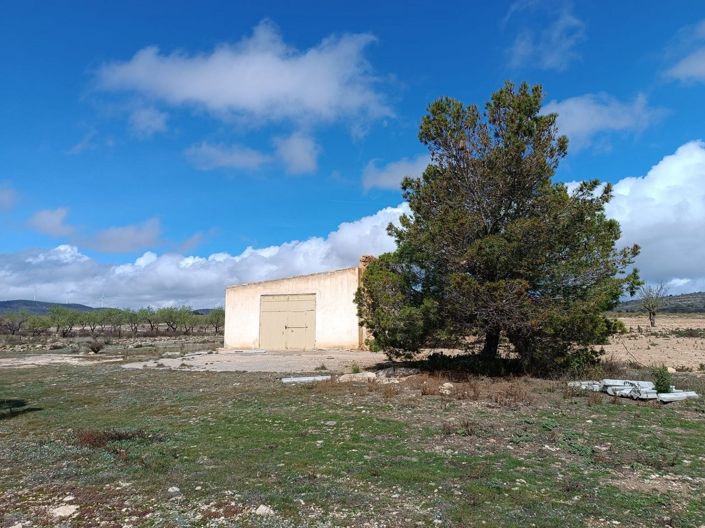 Image No.3-Terre à vendre à Yecla