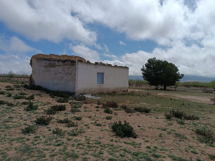 Image No.9-Terre à vendre à Yecla