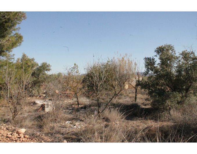 Image No.7-Maison de campagne de 2 chambres à vendre à Alicante