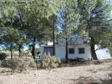 wp1000184-copiar-