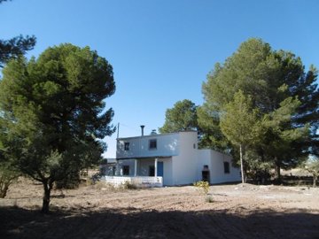 wp1000167-copiar-