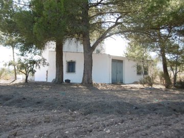 wp1000164-copiar-