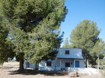 wp1000170-copiar-
