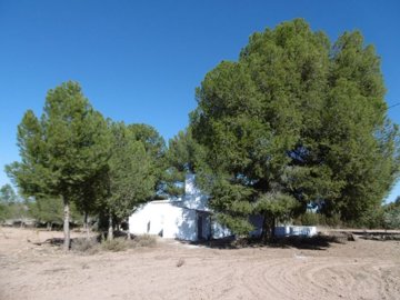 wp1000172-copiar-