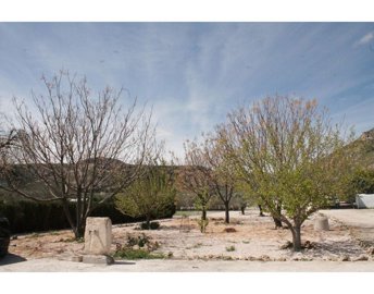 wc4k8ikajgox28vpme5ot