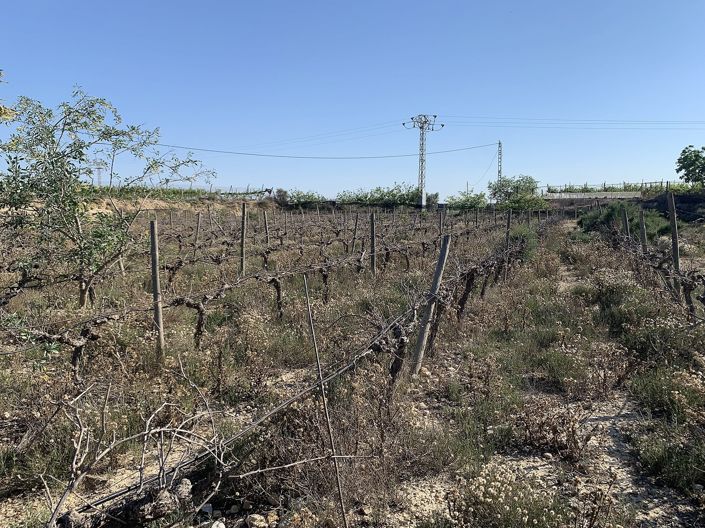 Image No.16-Land for sale