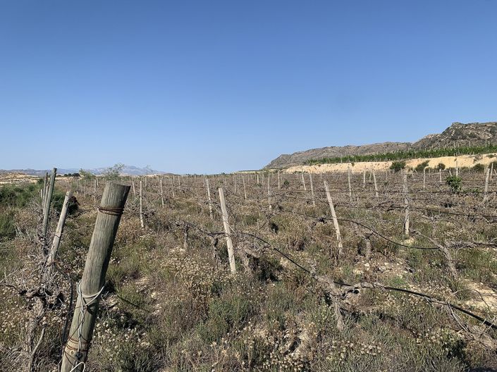 Image No.6-Land for sale