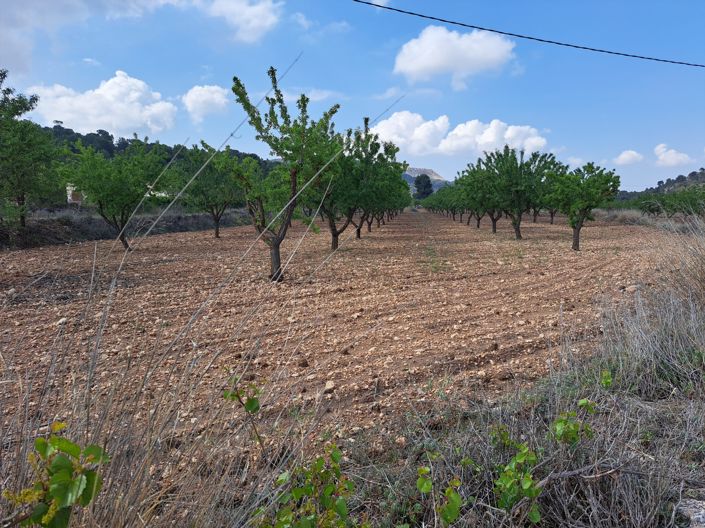 Image No.1-Land for sale
