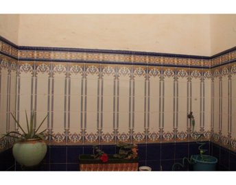 5380img7105