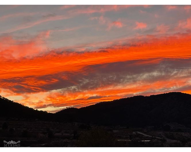 Image No.47-5 Bed Country House for sale