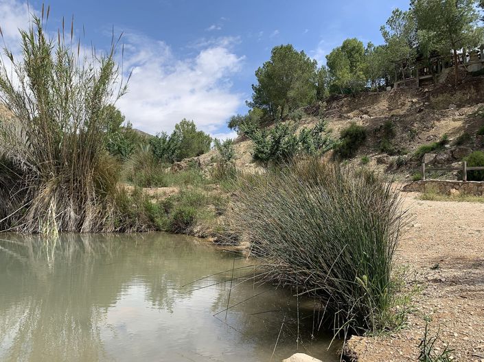 Image No.37-3 Bed Country House for sale