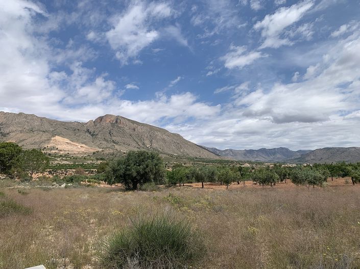 Image No.38-3 Bed Country House for sale