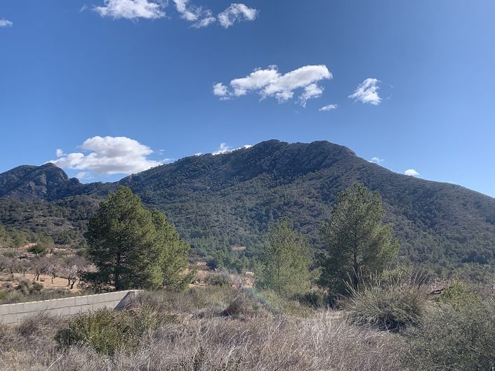 Image No.26-3 Bed Land for sale