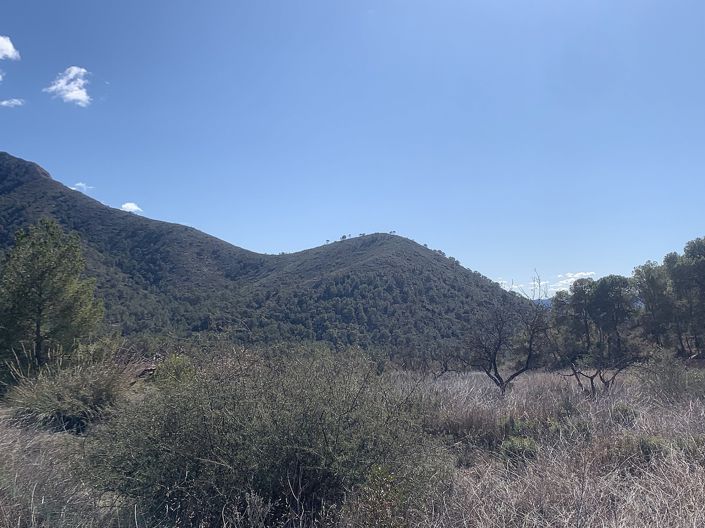 Image No.27-3 Bed Land for sale