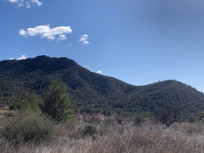 Image No.28-3 Bed Land for sale