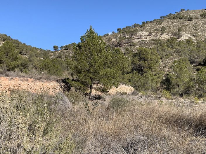 Image No.29-3 Bed Land for sale