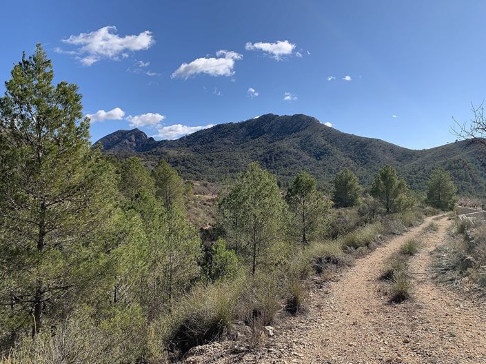 Image No.38-3 Bed Land for sale